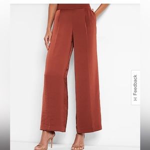Express Wide Leg Satin Pants
